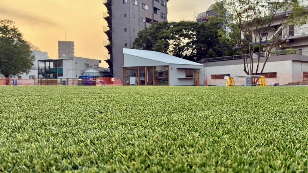 朝日に照らされる中央公園の芝生広場
